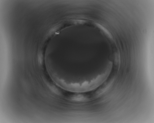 X0000113850451200910011004