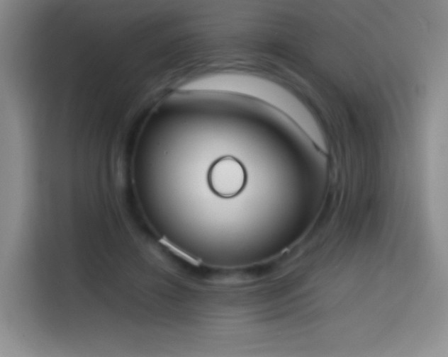 X0000113850452200910011004