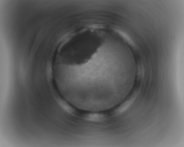 X0000113850453200910011004