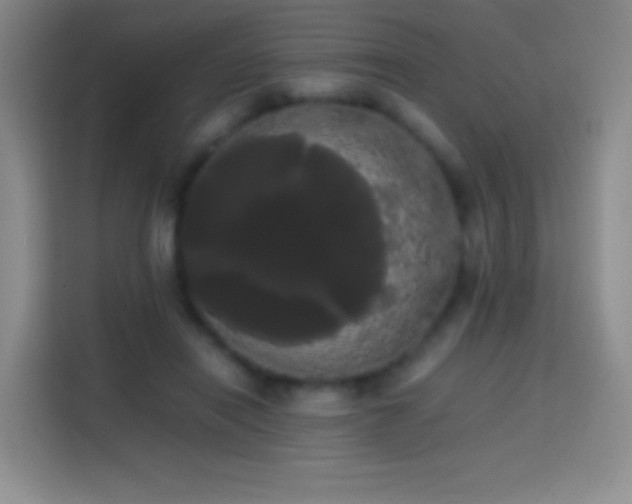 X0000113850454200910011004