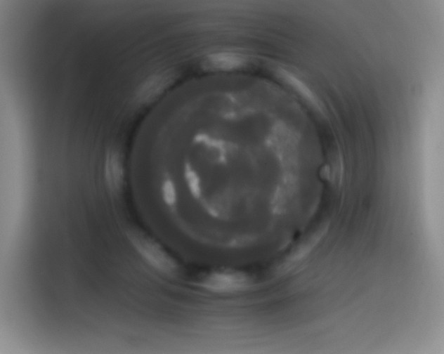 X0000113850455200910011004