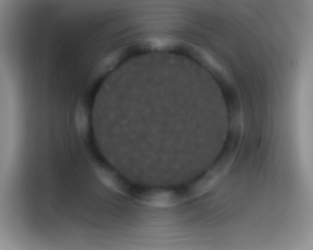 X0000113850456200910011004