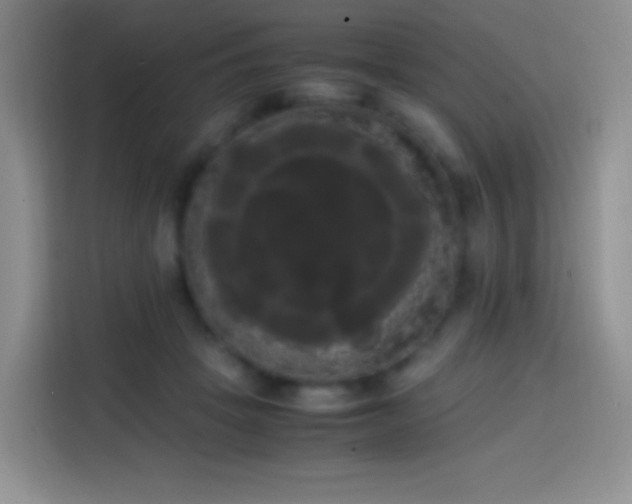 X0000113850457200910011004