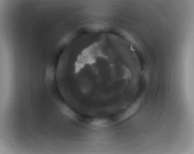 X0000113850458200910011004