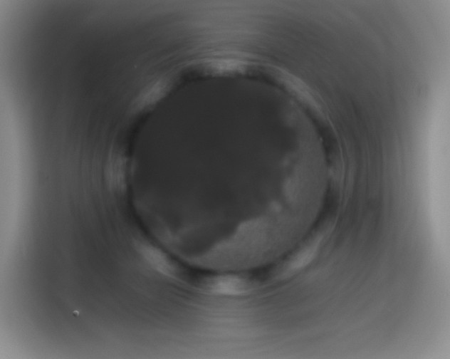 X0000113850462200910011004