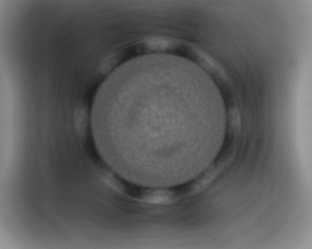 X0000113850463200910011004