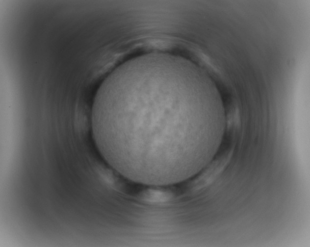 X0000113850464200910011004