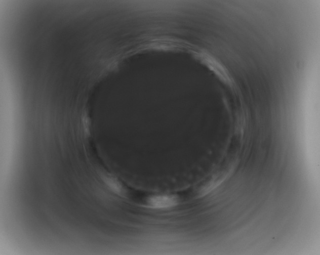 X0000113850465200910011004