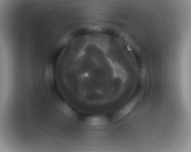 X0000113850466200910011004