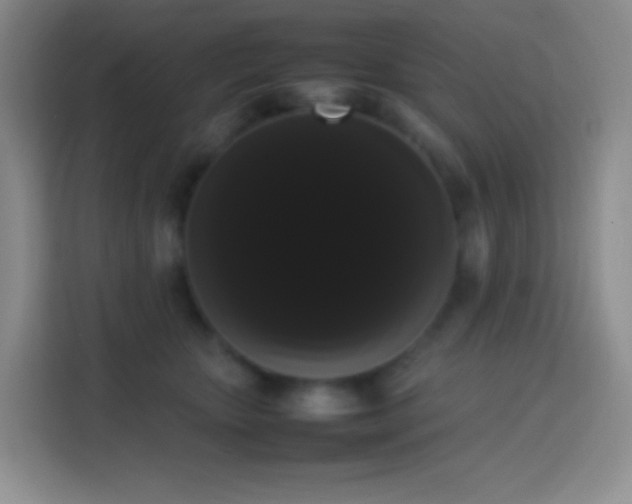 X0000113850467200910011004