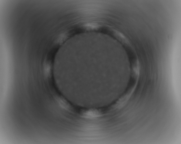 X0000113850468200910011004