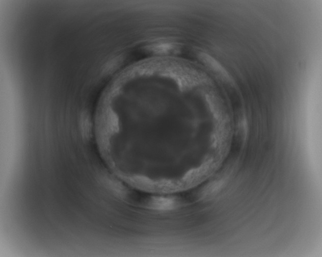 X0000113850469200910011004