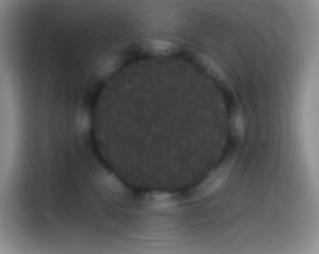 X0000113850472200910011004