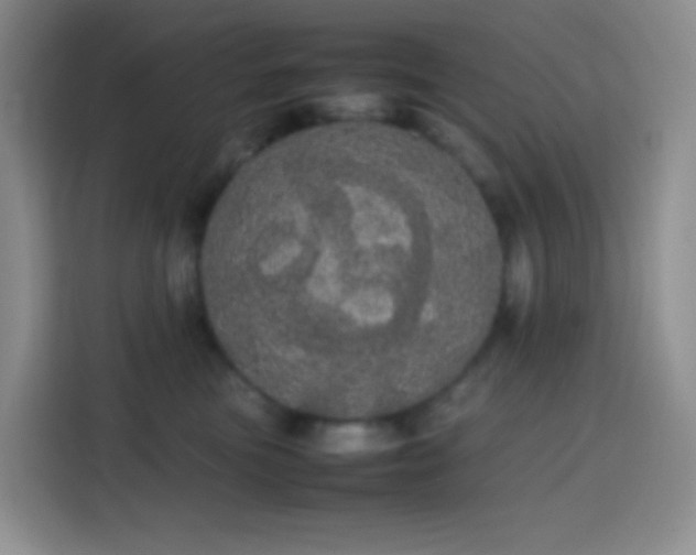 X0000113850473200910011004