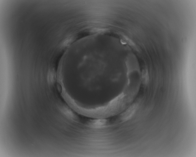 X0000113850474200910011004