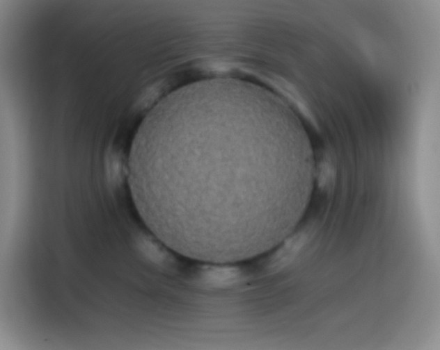 X0000113850476200910011004