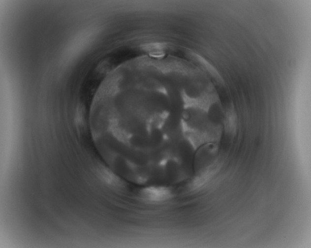 X0000113850477200910011004