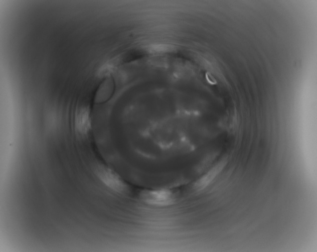 X0000113850478200910011004