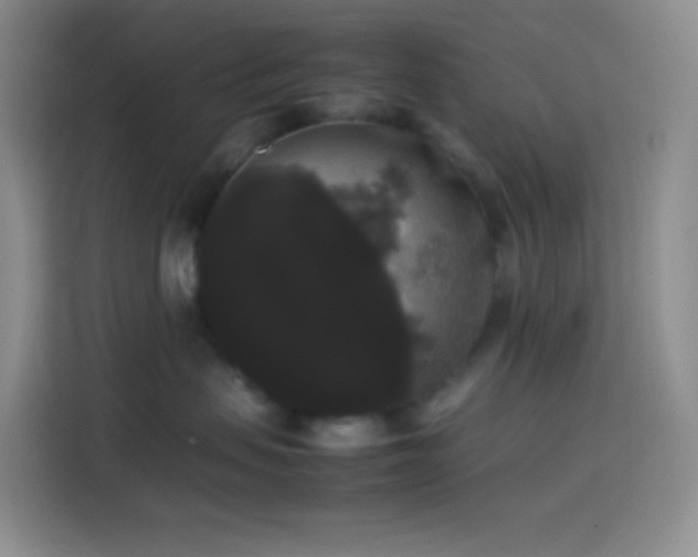 X0000113850479200910011004