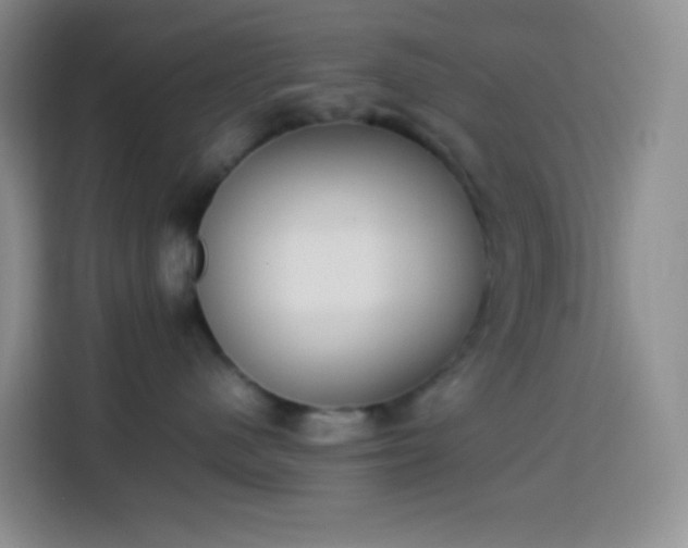 X0000113850480200910011004