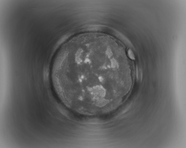 X0000113850483200910011004