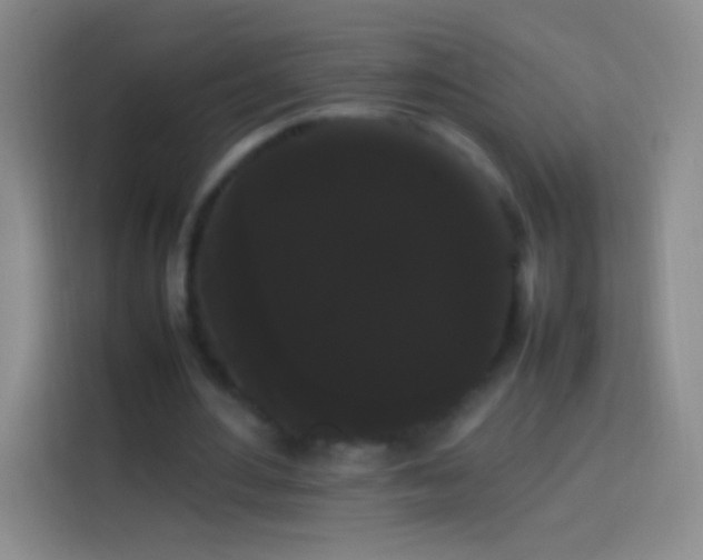 X0000113850484200910011004