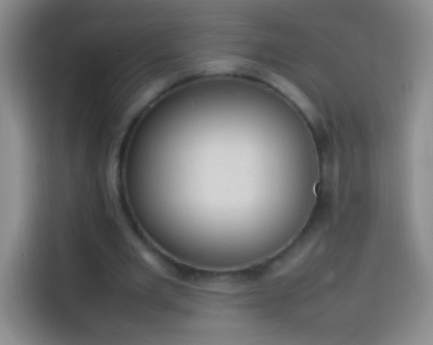 X0000113850485200910011004