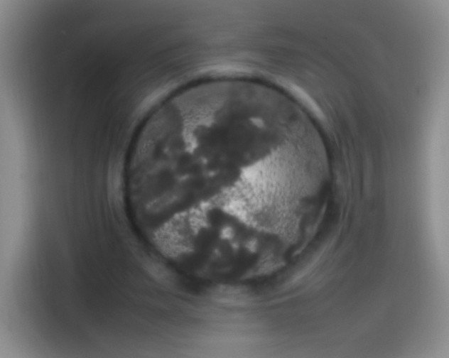 X0000113850487200910011004