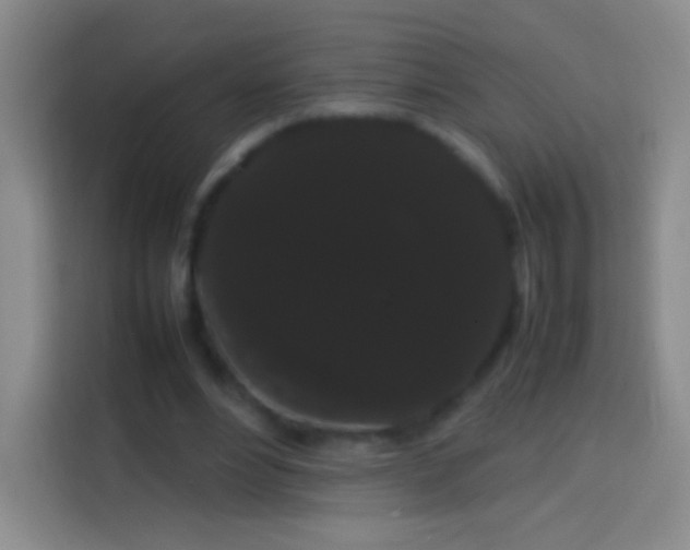 X0000113850488200910011004