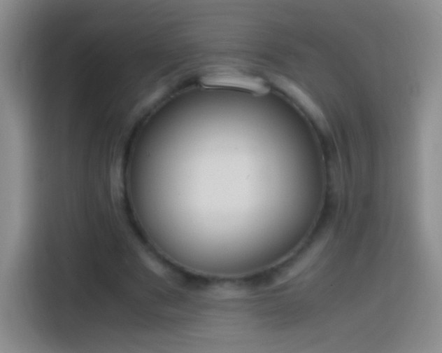 X0000113850489200910011004