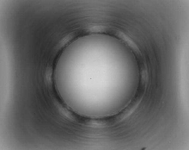 X0000113850490200910011004