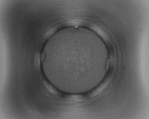 X0000113850493200910011004