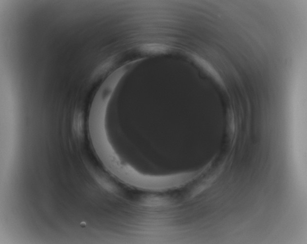 X0000113850494200910011004