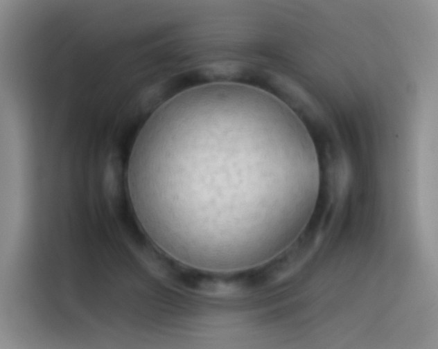 X0000113850498200910011003