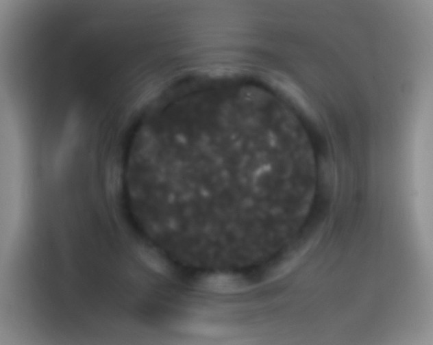 X0000113850499200910011003