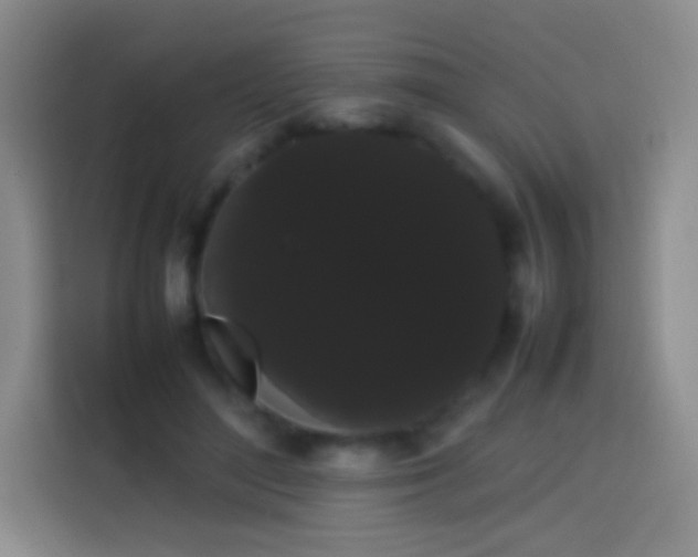 X0000113850500200910011003