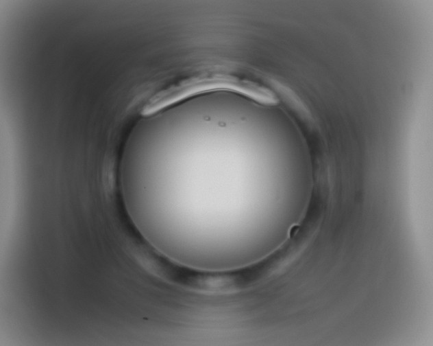 X0000113850501200910011003