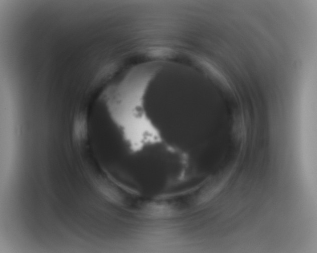 X0000113850502200910011003