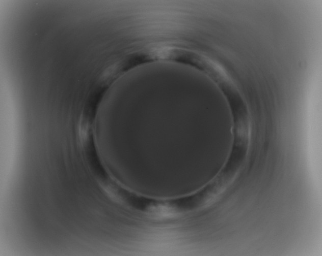 X0000113850503200910011003