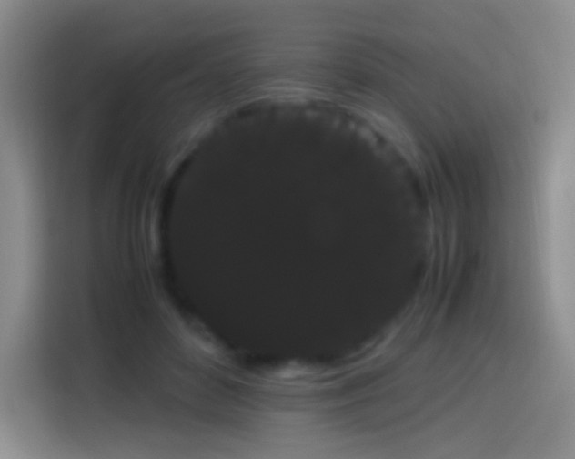 X0000113850504200910011003