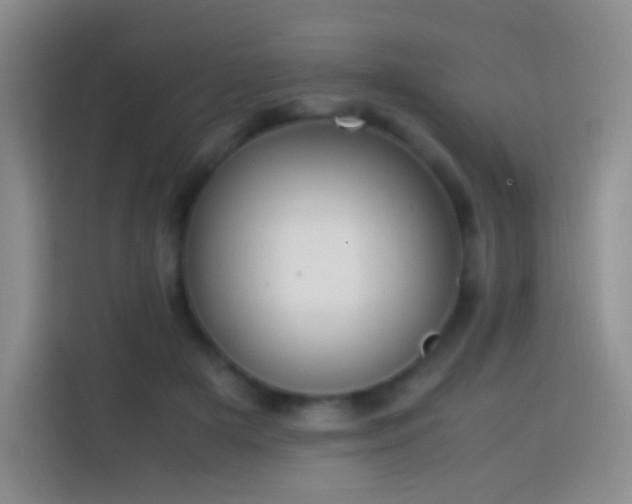 X0000113850505200910011003