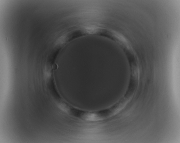 X0000113850507200910011003