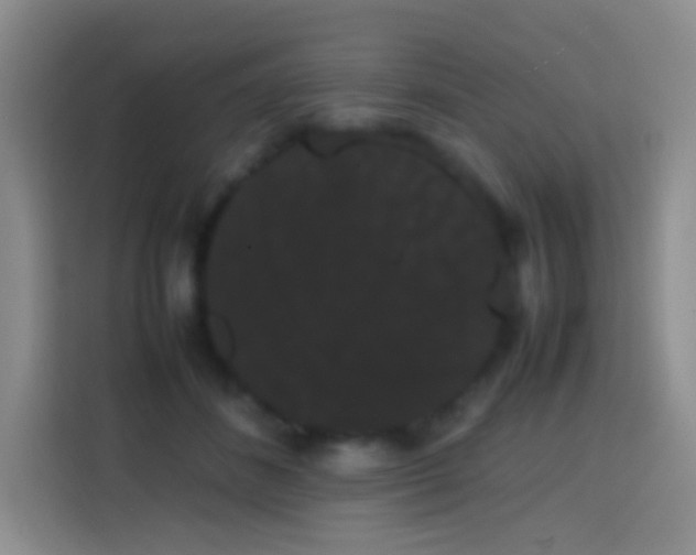 X0000113850508200910011003