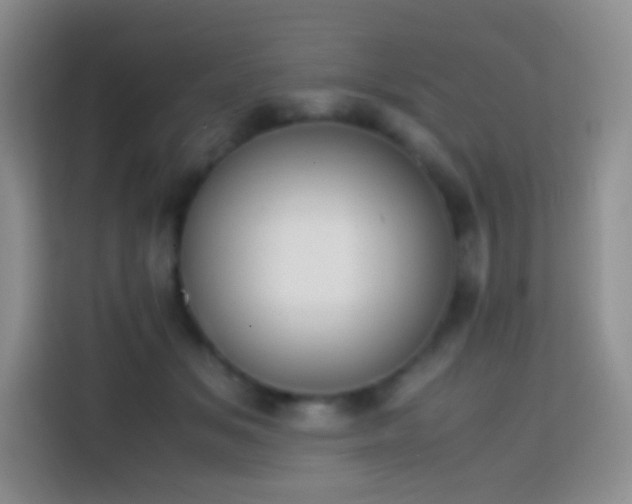 X0000113850509200910011003