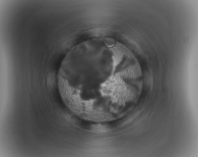 X0000113850511200910011003