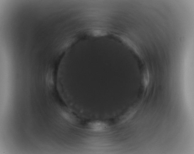 X0000113850512200910011003