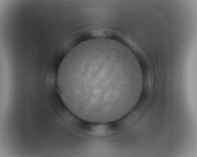 X0000113850513200910011003