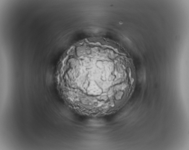 X0000113850515200910011003