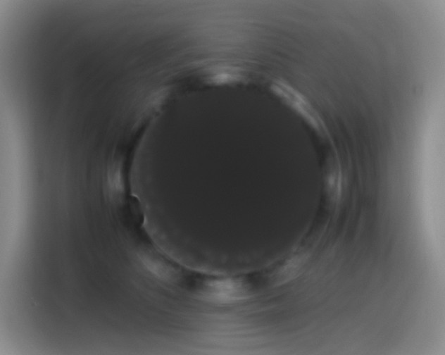 X0000113850516200910011003