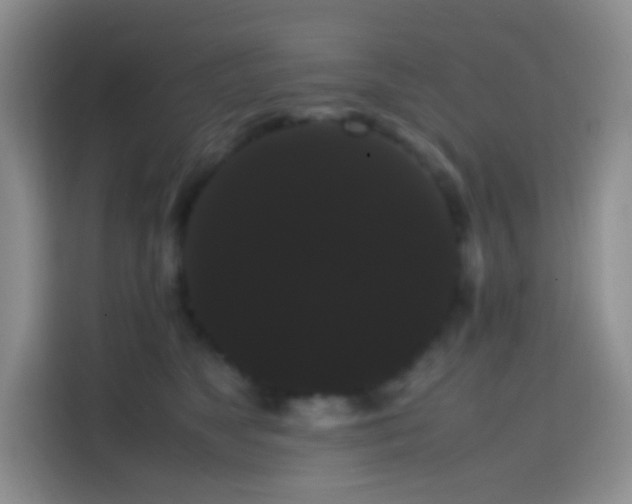 X0000113850517200910011003